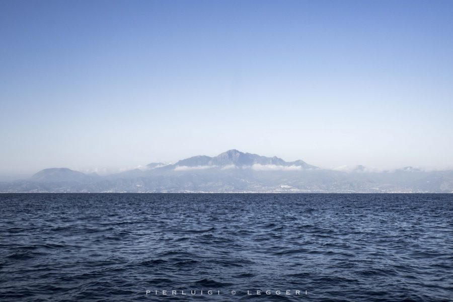 I tonni della Riviera dei Cedri