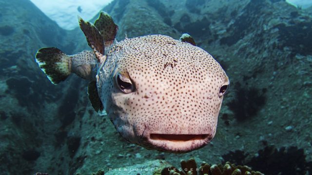 La Digue: A Wild Paradise in the Indian Ocean